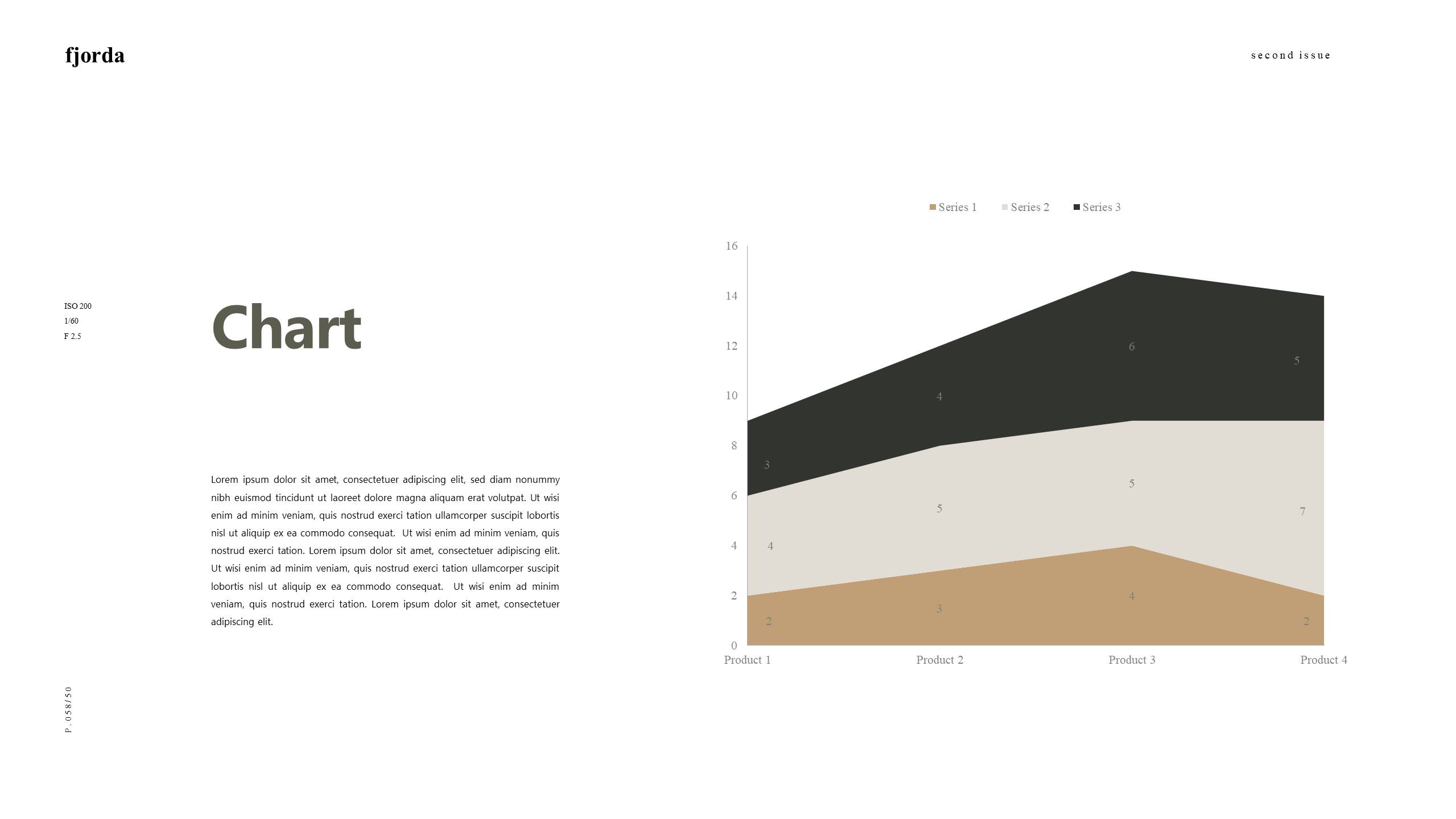 时尚风格 (5).pptx